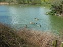 2010-04-01 12-33-16 Parc de la Courneuve CGn